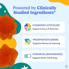 Phosphatidylserine ingredient panel in FIRST DAY formulation for balance