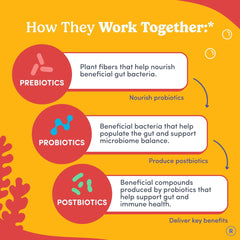 First Day Kids Probiotic Gummies ingredients page with Livaux and SNZ 1969