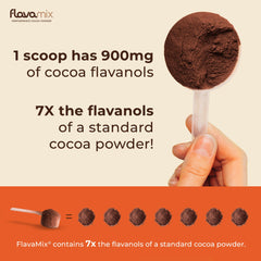 FlavaNaturals FlavaMix cocoa powder ready-to-make drink for plant-based energy.