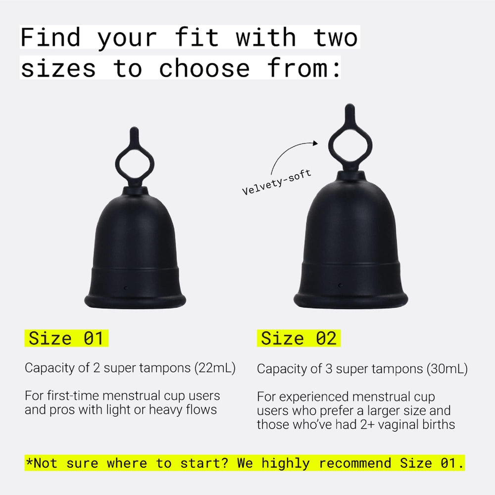 Includes two free Flex Discs for added versatility.