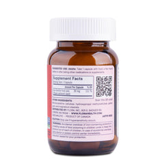 Close-up of Ferritin+ capsules showcasing delayed-release iron for gentler digestion.