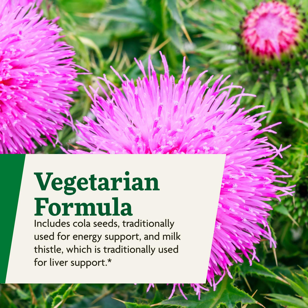 Illustration of herbs and vitamins in Floradix Epresat