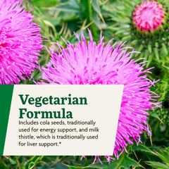 Illustration of herbs and vitamins in Floradix Epresat