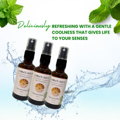 Flower & Song Chilcuague Oral Spray Mint label emphasizes natural ingredients and herbal safety