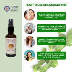 Flower & Song Chilcuague Oral Spray Mint packaging reflects eco friendly materials and clean ingredients