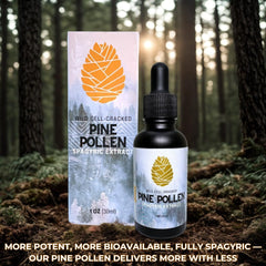 Flower & Song pine pollen tincture pour drops illustrating easy daily use.