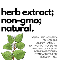 FOLIUS LABS vegan capsules packaging highlights gluten-free non-GMO credentials
