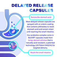 FOLONA capsules in hand illustrating daily wellness routine.