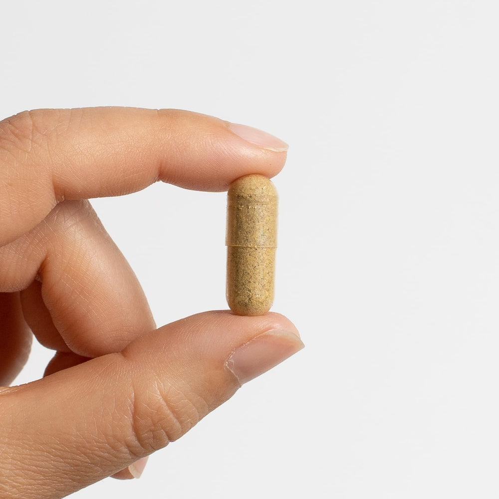 Food Over Drugs Colon Formula dried herbs arranged for natural digestive support.