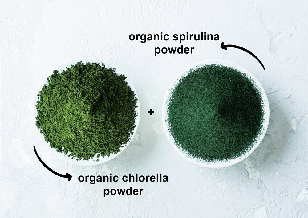 Food to Live algae powder packaging bag on kitchen counter.
