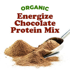 Food to Live Energize protein powder in a bowl with oats