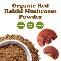 Food to Live red reishi powder in blender for smoothies