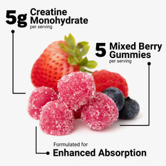 Force Factor Creatine Gummies serving pose highlighting 5g creatine per serving