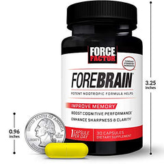 Morning routine using Forebrain for daily clarity