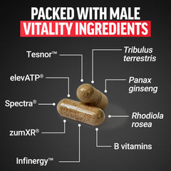 Force Factor Test X180 Unleashed spectra antioxidant blend graphic