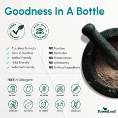 ForestLeaf B2 riboflavin two-pack packaging design highlights clean labeling.