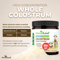 ForestLeaf Colostrum Powder serving scoop ready for easy mixing