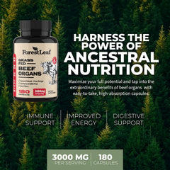 ForestLeaf organ complex capsules showcase diverse organs for balanced nutrition and overall wellness.