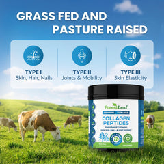 ForestLeaf pasture-raised collagen emphasizes clean source from grass-fed livestock.