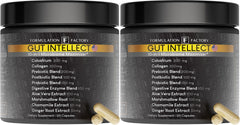 Formulation Factory Gut Intellect bottle front view for daily gut support and energy