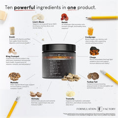 Formulation Factory Shroom Vroom mushroom varieties graphic from Lion’s Mane to Tremella