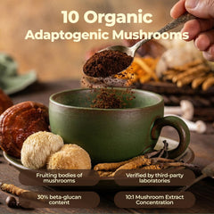 Fortisca Mushroom Coffee resealable pouch signaling freshness and portability.
