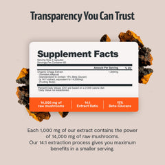 FreshCap Chaga capsules closeup, capsule texture and coating detail.