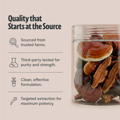 FreshCap Mushrooms Reishi powder raw fruiting body closeup, pure ingredients.