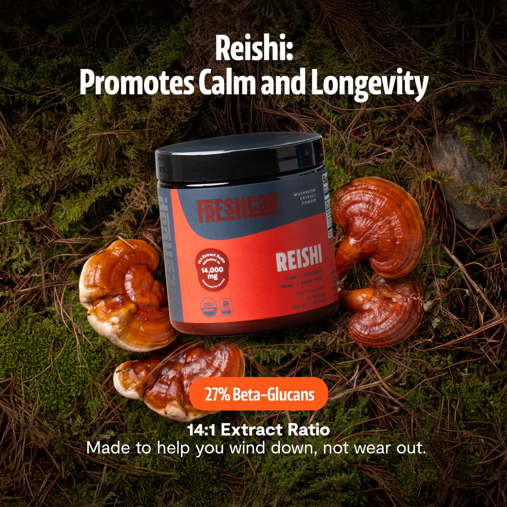 FreshCap Mushrooms Reishi powder scoop in jar, convenient daily serving.