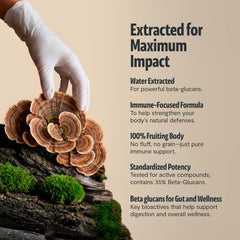 FreshCap Turkey Tail capsules dispensed for daily immune support