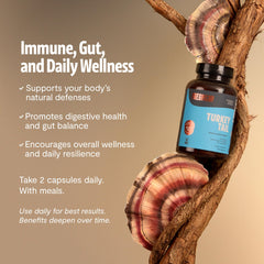 FreshCap Turkey Tail capsules in hand for routine wellness