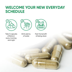 Capsules arranged in a tray, suggesting a simple daily routine.