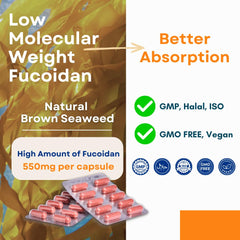 FUCOHIQ ONCOFUCO pour-angle shot suggests simple daily intake for busy lifestyles.