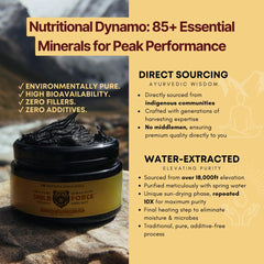 FUCOIDAN FORCE ShilaForce Himalayan mountains inspiration for premium sourcing.
