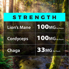 Fully Loaded Alpha packaging with flavor notes and energy cues.