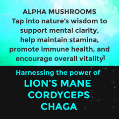 Fully Loaded Alpha label detail showcasing natural adaptogens and Chaga benefits.