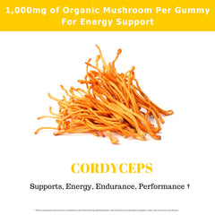 Fundamental Fungi Cordyceps Gummies label displays organic ingredients and safety focus