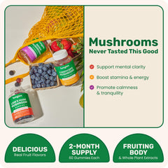 Fungies Cordyceps gummy bottle showcases energy-boosting potential.