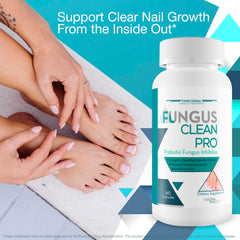 Fungis ingredient blend scene highlights the 11 strains inside the probiotic formula.
