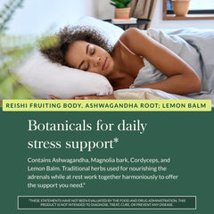 Gaia Herbs Adrenal Health Nightly Restore bottle on shelf signals trusted quality.