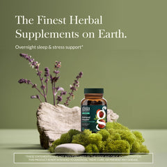 Gaia Herbs Adrenal Health Nightly Restore label close-up highlights vegan capsules.