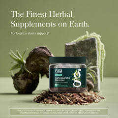 Gaia Herbs Ashwagandha Gummies pouring into hand for on-the-go support