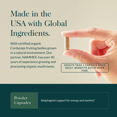 Daily-use Gaia Herbs Cordyceps bottle for endurance support
