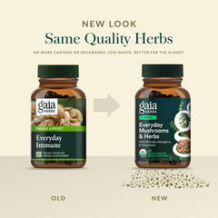 Gaia Herbs Everyday Immune astragalus root close-up, part of the daily wellness blend.