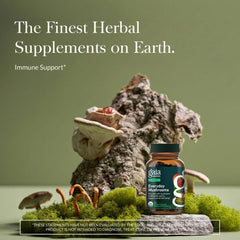 Close-up of Gaia Everyday Mushrooms capsules for daily use.