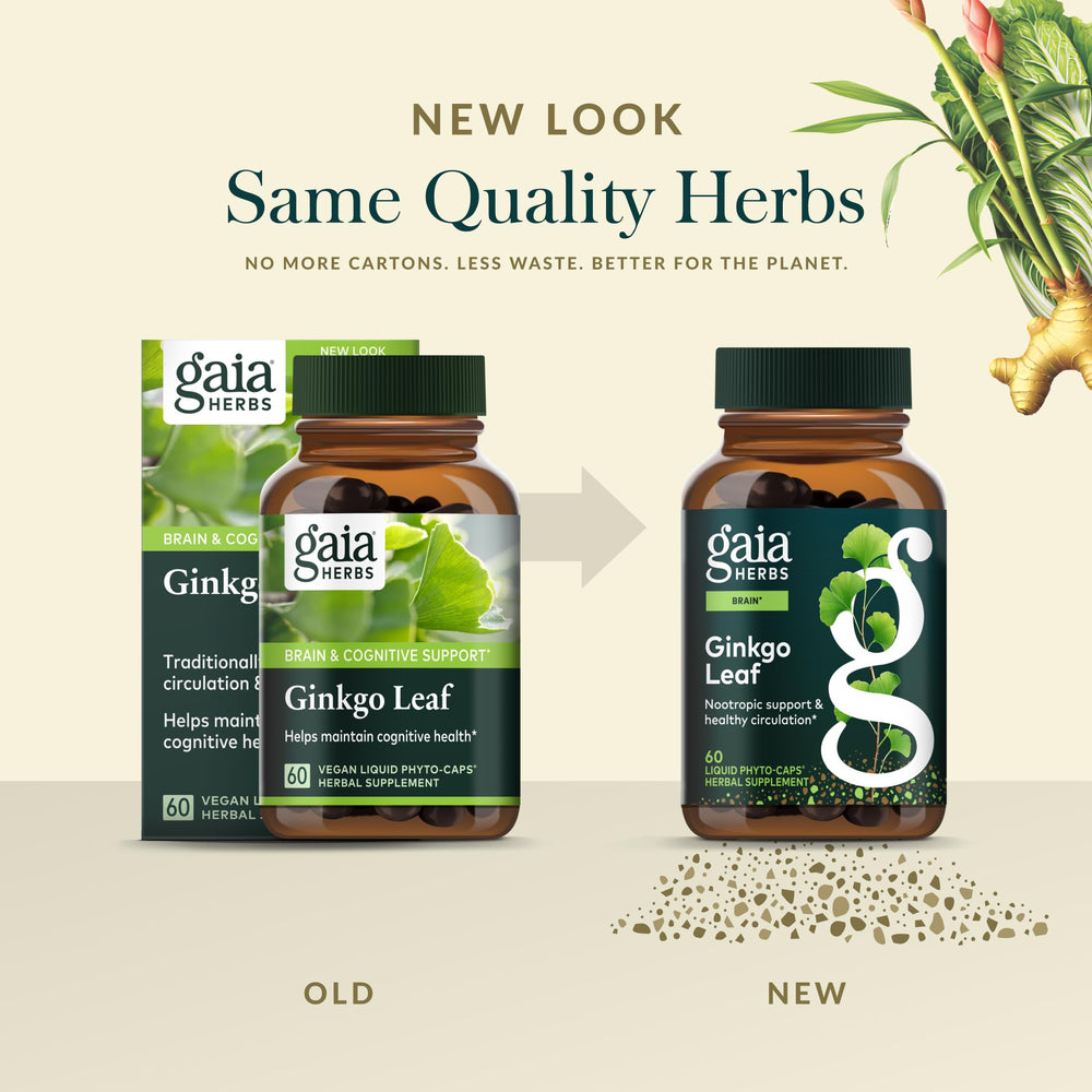 Gaia Herbs Ginkgo Leaf plant imagery highlighting traditional herb heritage
