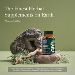 Gaia Herbs Lactation Support capsule bottle on a kitchen counter.