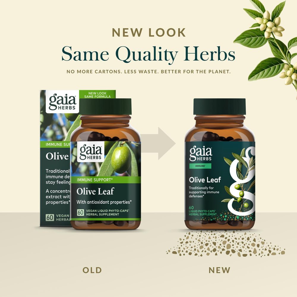 Gaia Herbs harvest process photo showing careful plant handling
