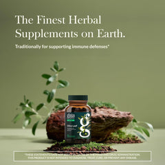 Gaia Herbs Olive Leaf label closeup highlights natural sourcing from Spain.
