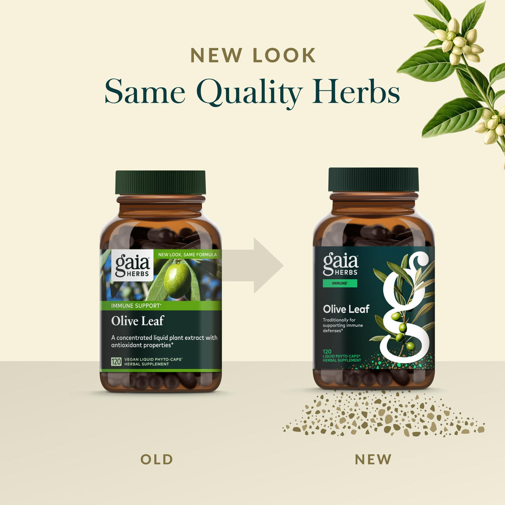 Gaia Herbs Olive Leaf phyto-caps packaging conveys convenient daily use.